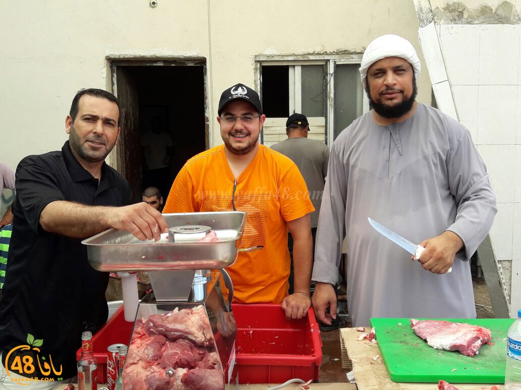 lod8om ada73y (47).jpg